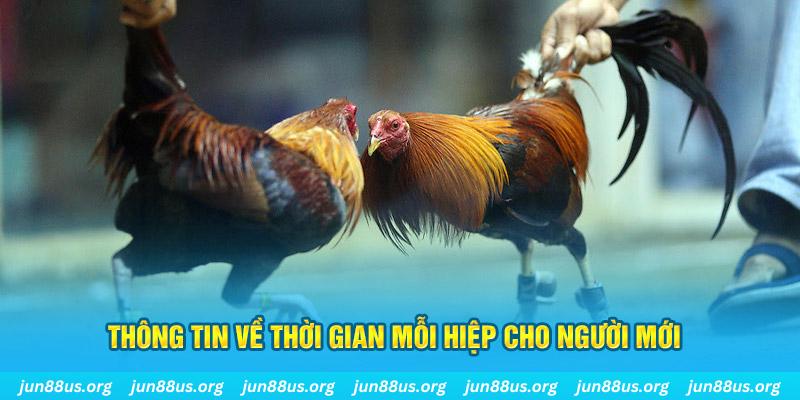 nohu78 com Long Hổ 2