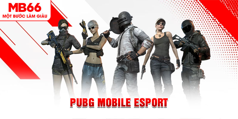 nohu78 com gà chọi c1 mới nhất