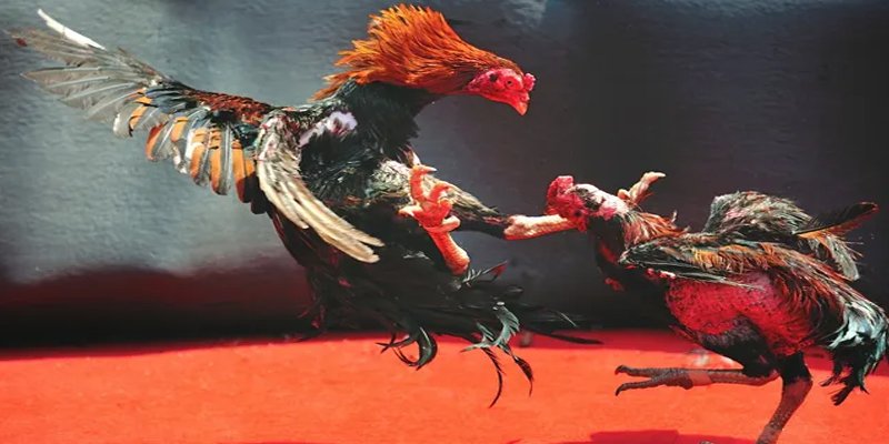 nohu78 com đăng nhập nổ hũ số 1