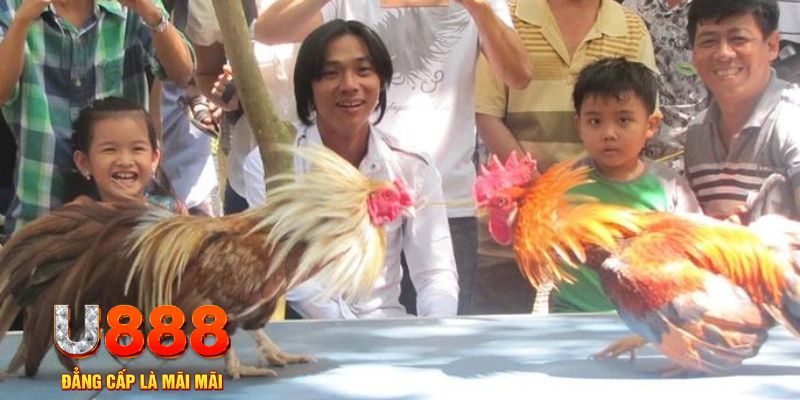 nohu78 com mơ thấy nổ hũ đánh con gì