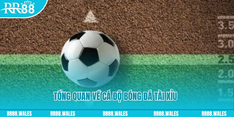 nohu78 com JDB Điện Tử