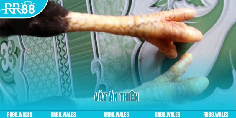 nohu78 com who wants to be a millionaire slot